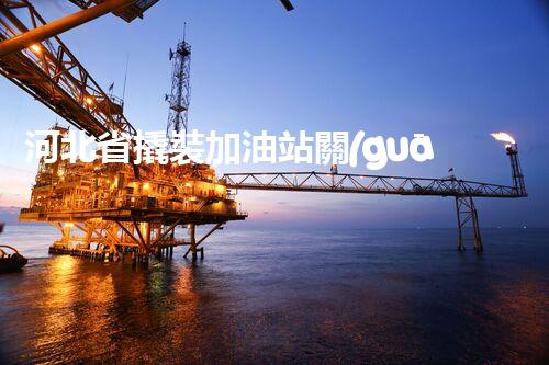 河北省撬裝加油站關(guān)鍵技術(shù)突破！化工廠拆除工程的新方法探索？